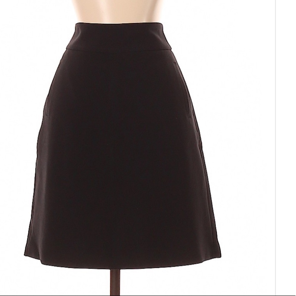 NWOT Banana Republic stretch petite 4P skirt.